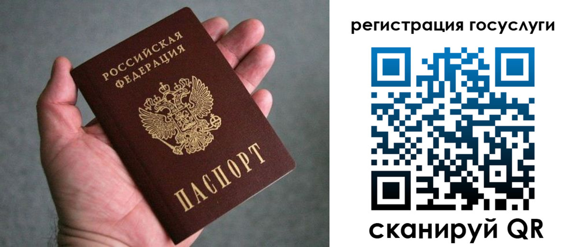 прописка поиск в Кашине
