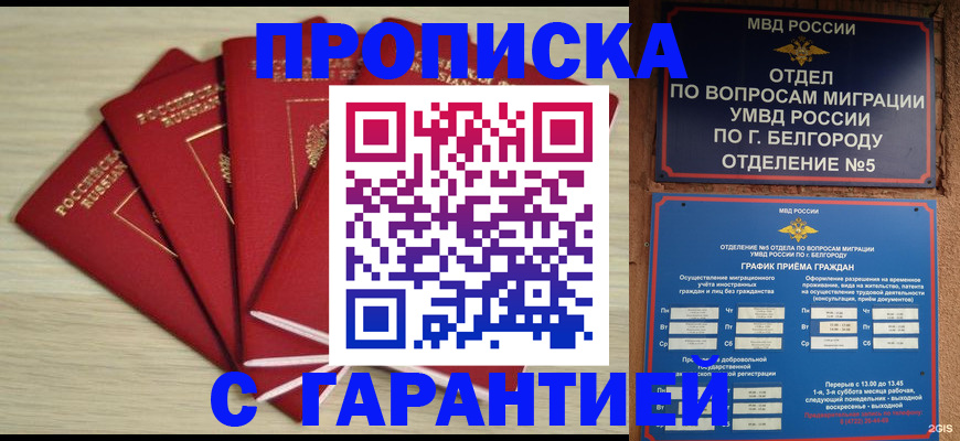 миграционный учет в Кашине